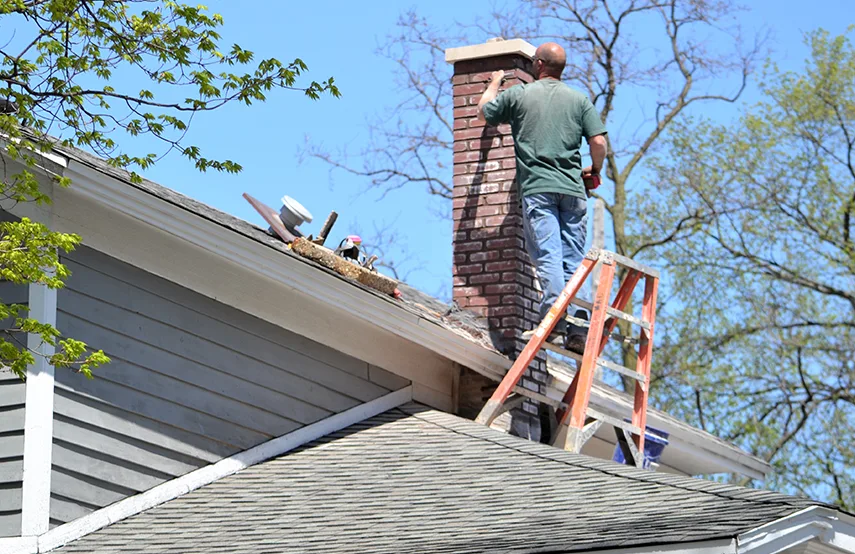 Chimney & Fireplace Inspections Services in Madison Heights, MI